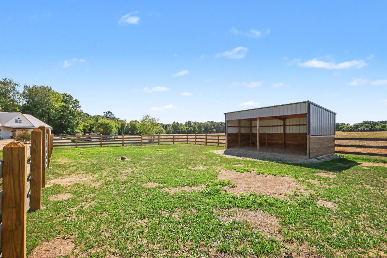 Welcome to Willow Run Farm! - photo 28
