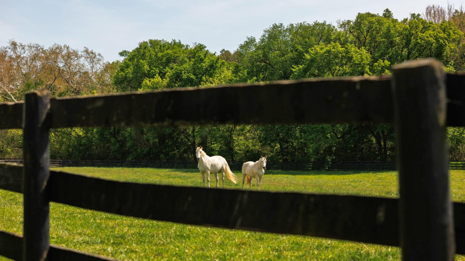 Stunning 1,000+ Acre Equestrian Land - photo 20