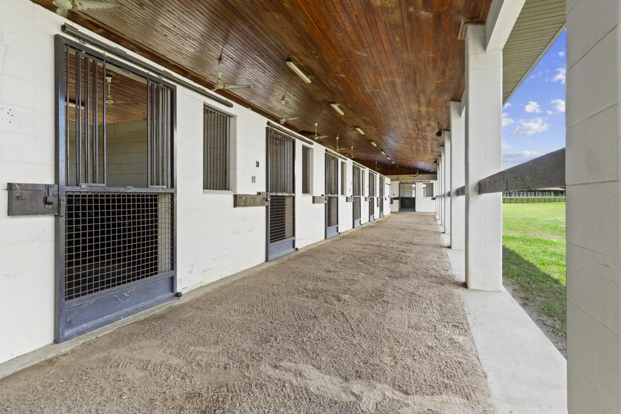 BELLEMONT FARM
YOUR PREMIER TRAINING CENTER - photo 21
