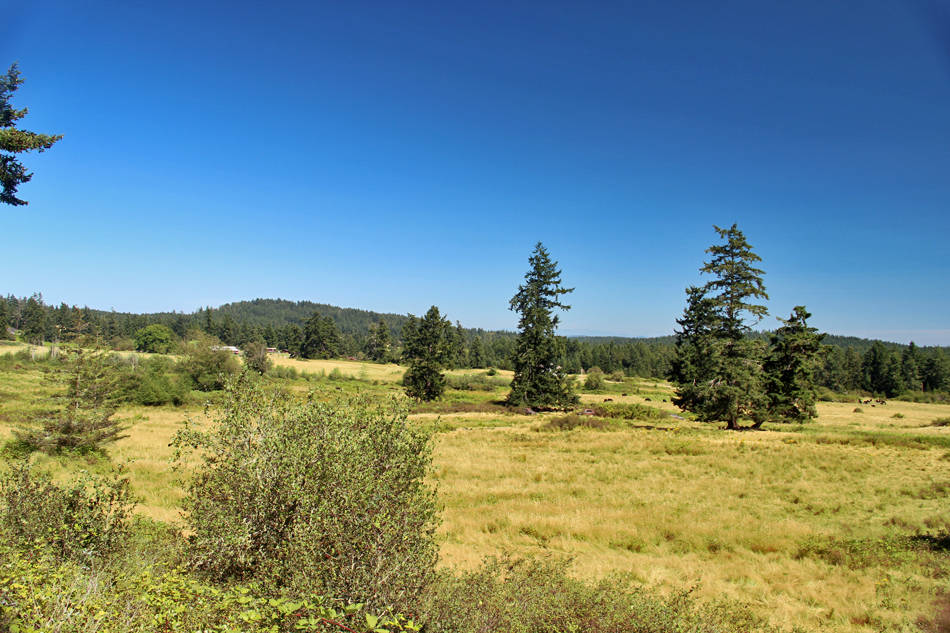 80 ACRES ON SAN JUAN ISLAND, WA Friday Harbor, San Juan County