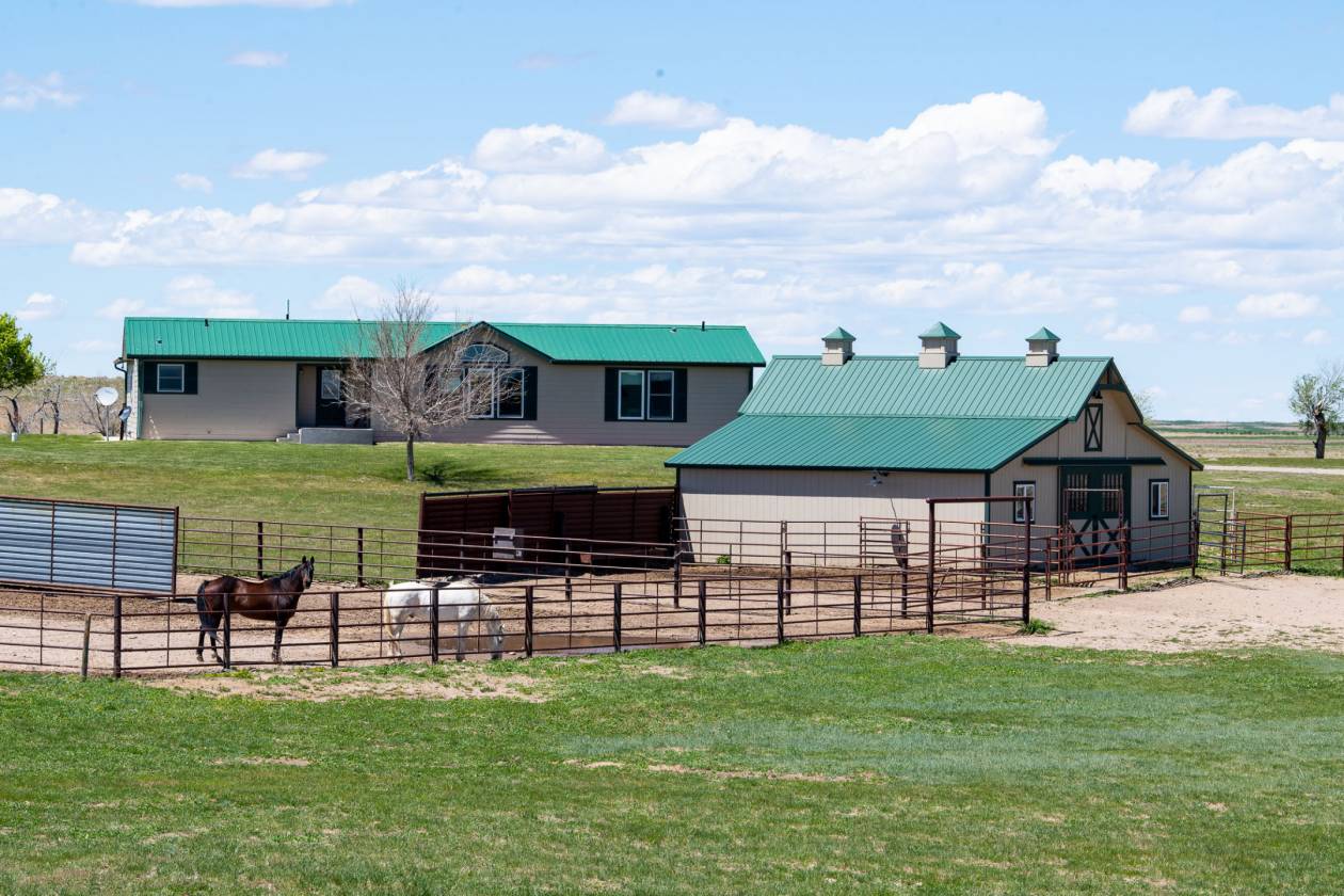 Horse Property for sale.