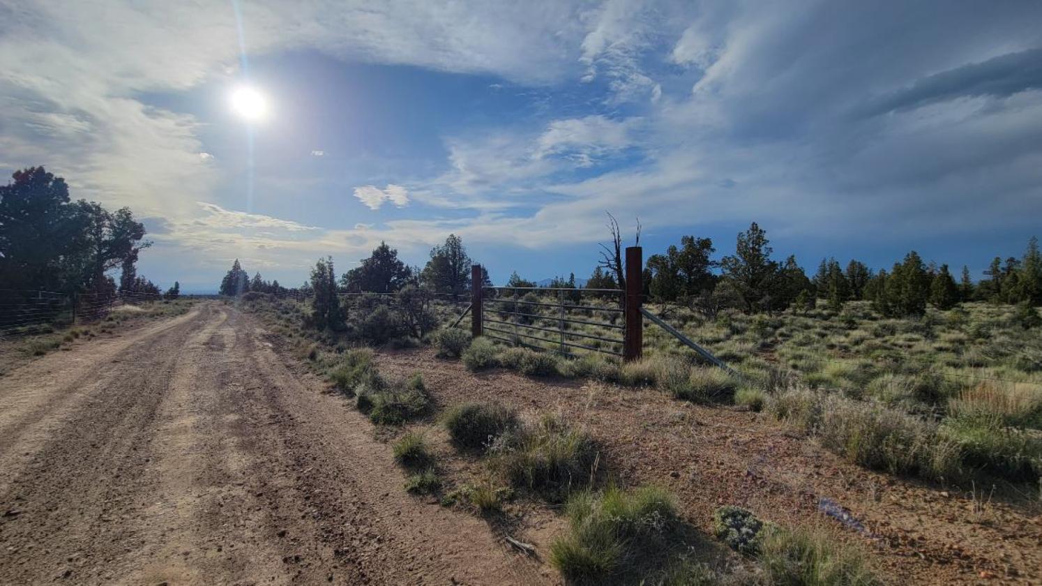 9.8 Buildable acres / Cross fenced - photo 12
