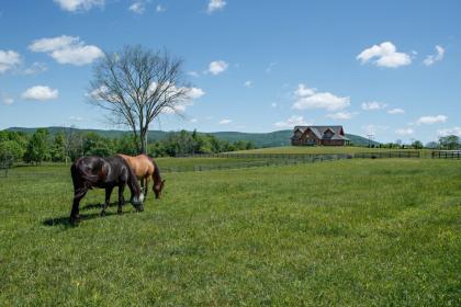 Property image.