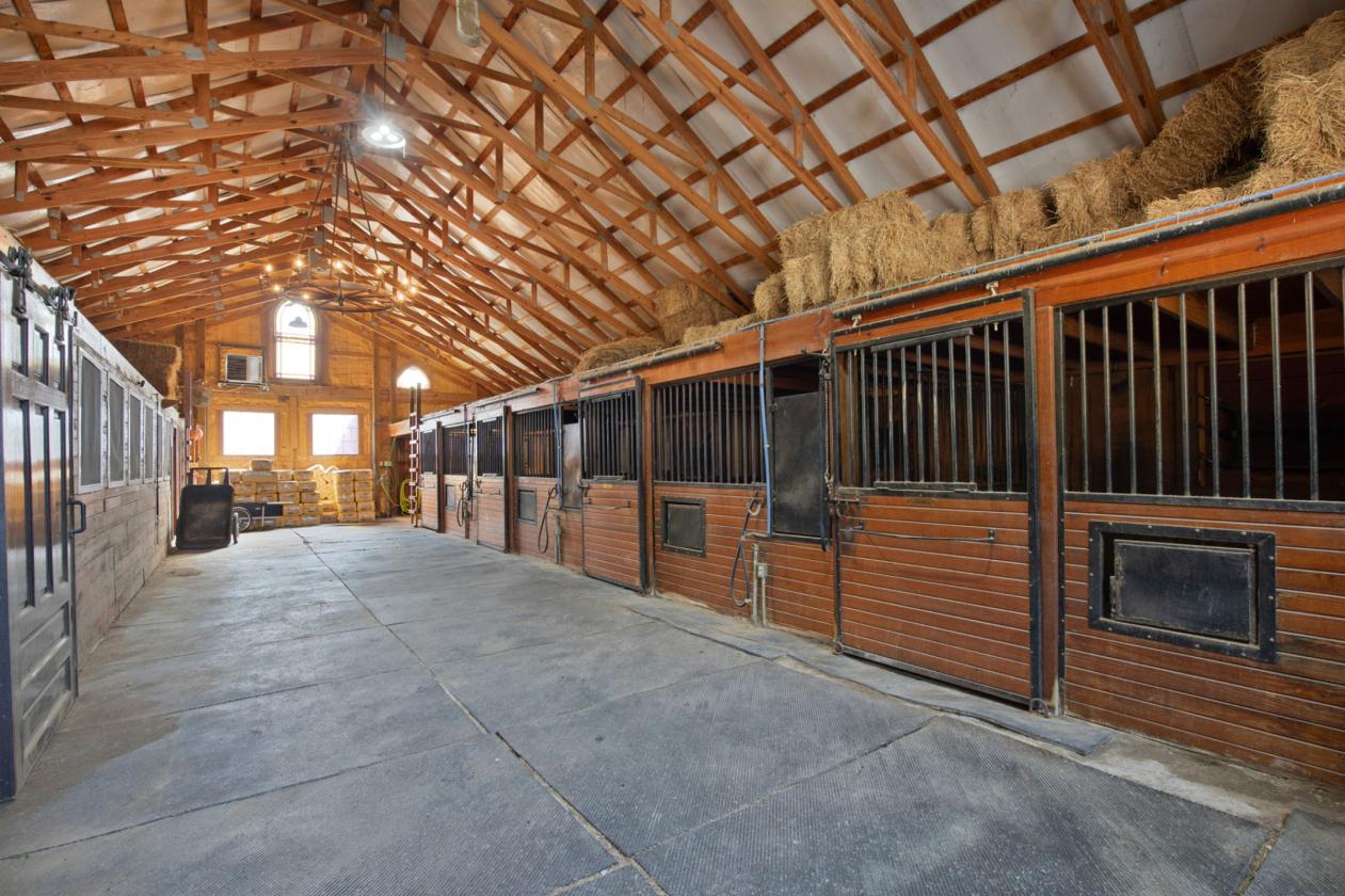 Equestrian Estate or Corporate Retreat near LEAP - photo 12