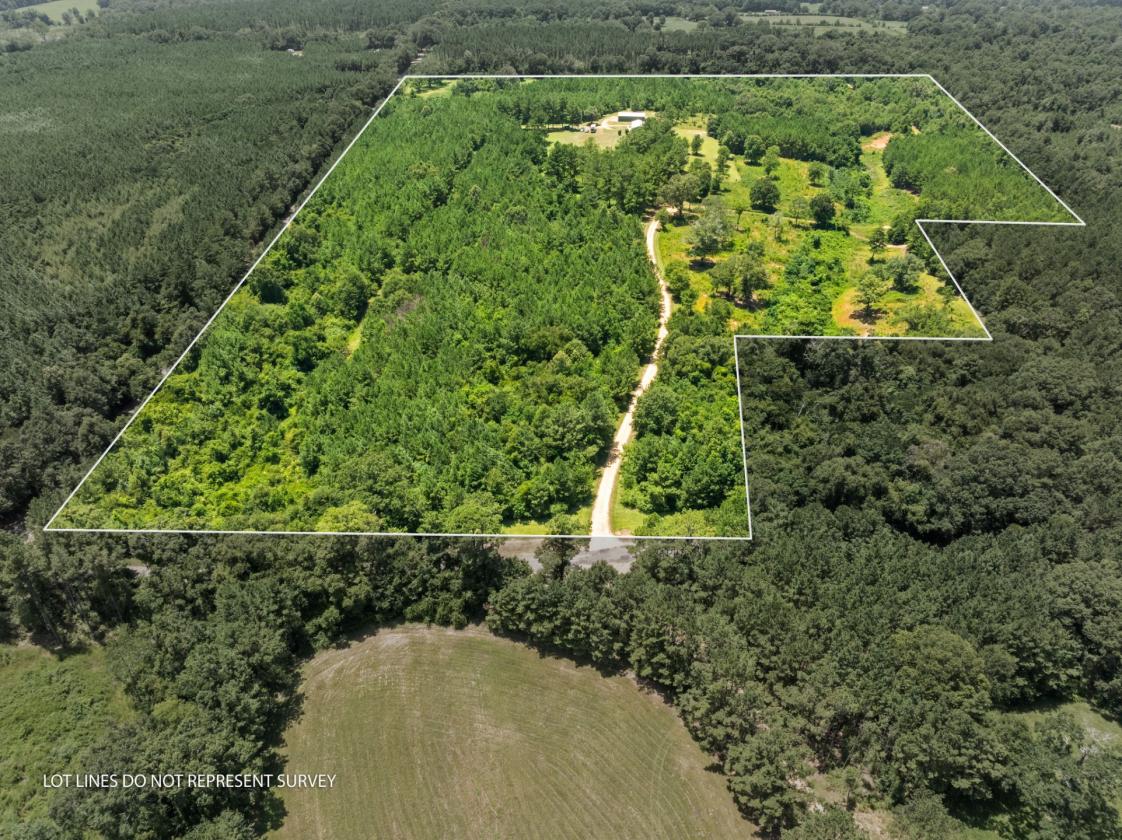 53 Acre parcel with barndominium! - photo 4