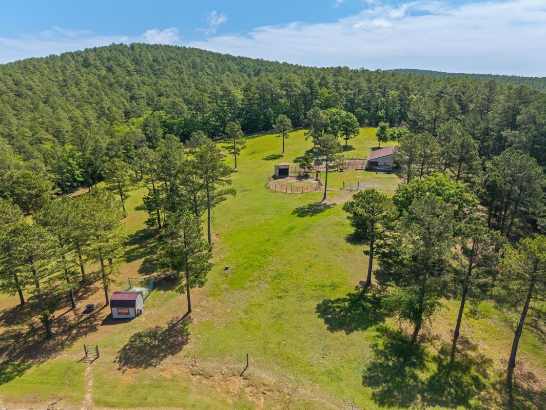 Equestrian Property Bordering National Forest - photo 27