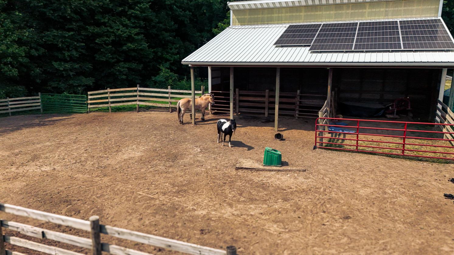 138-Acre Equestrian Property with Architect-Design - photo 4