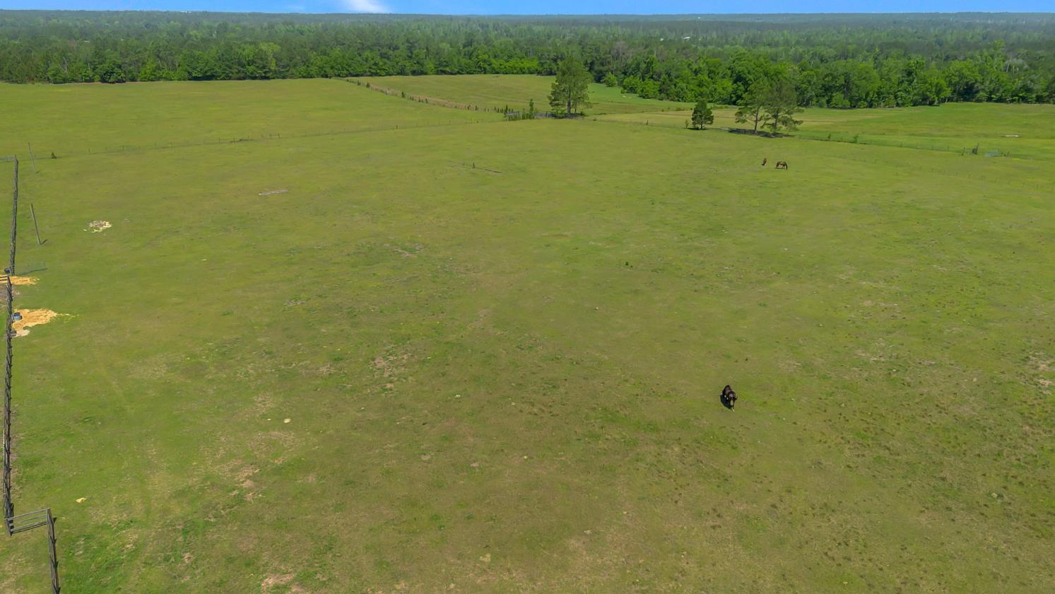 15 Acres Pasture|Cross-Fenced|Horse-Livestock-Crop - photo 7