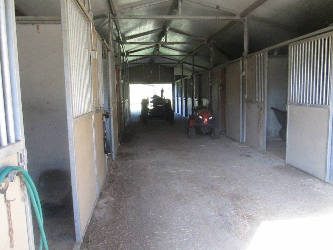 Horse Farm with potential development - photo 14
