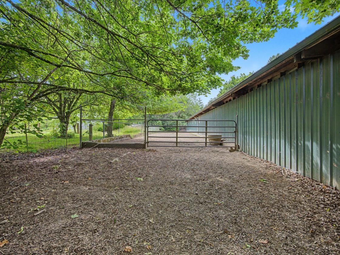CLOSE IN HORSE LOVER'S DREAM - photo 13