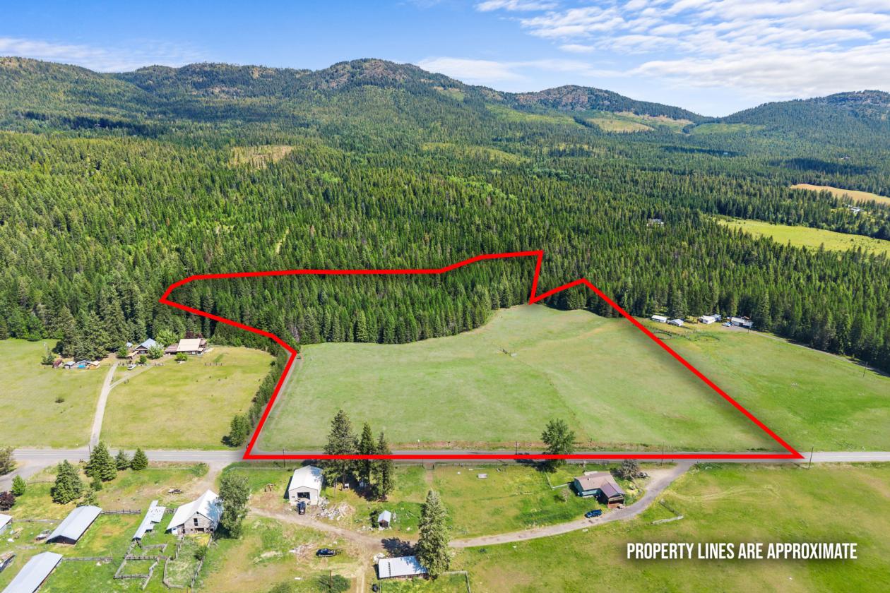 Level 20.65 acres w/Creek, Pasture & Woods - photo 10