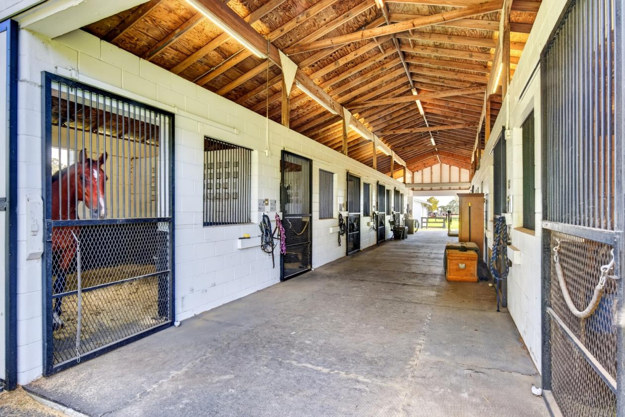 Turn-Key 20 Ac Horse Farm Renovated Home mins WEC - photo 15