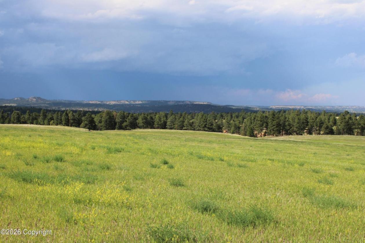 Tract 14 Belle River Ranch- NO Covenants -35+ Acre - photo 16