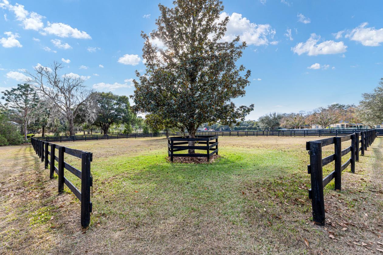 Country Club Farms - photo 6