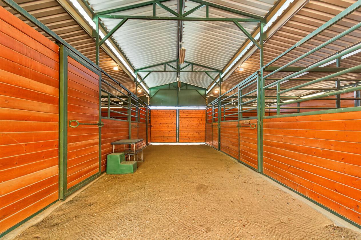 Exquisite 23.6 Acre Equestrian Estate - photo 20