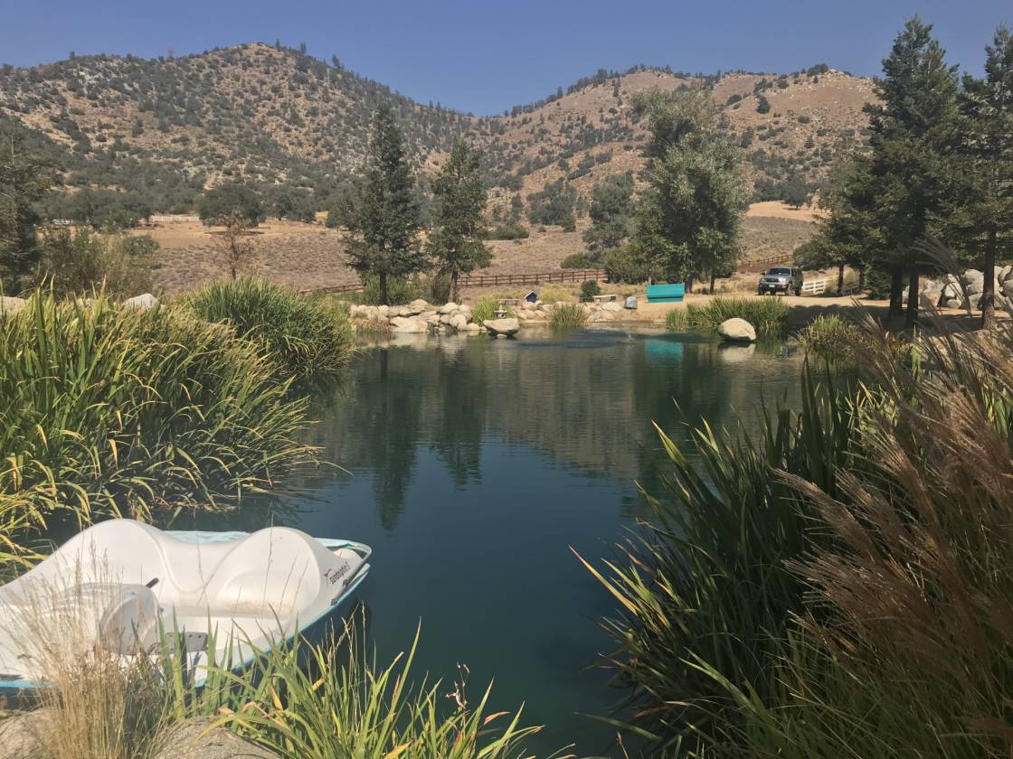 41.5 Acre Country Equestrian Estate 4 Double Stall Barn, Large