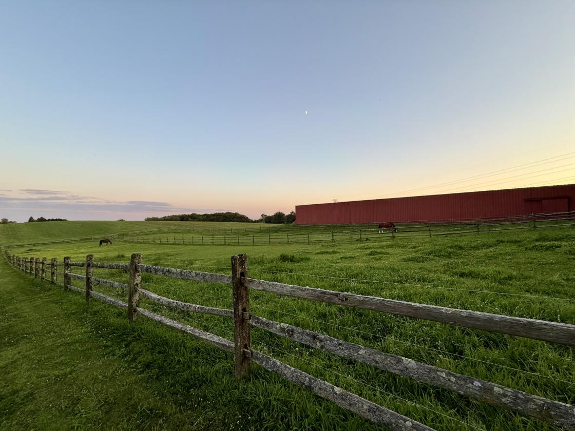 37-Acre 32 Stall Equestrian Estate w/ INDOOR - photo 10