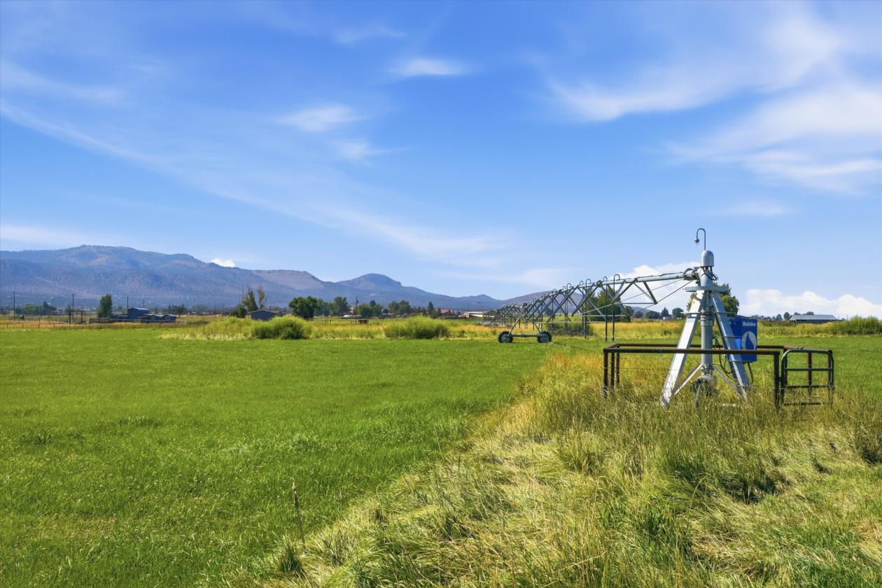 29 Acres | 24.34 Irrigated | Horse-Ready - photo 6