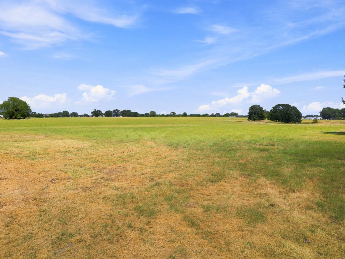 Wide-Open 18± Acres for Horses & Country Living - photo 5