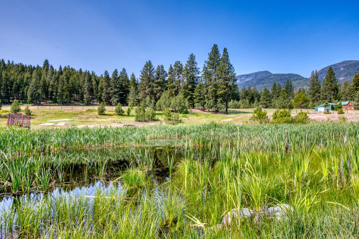 Two Feathers Ranch - photo 4