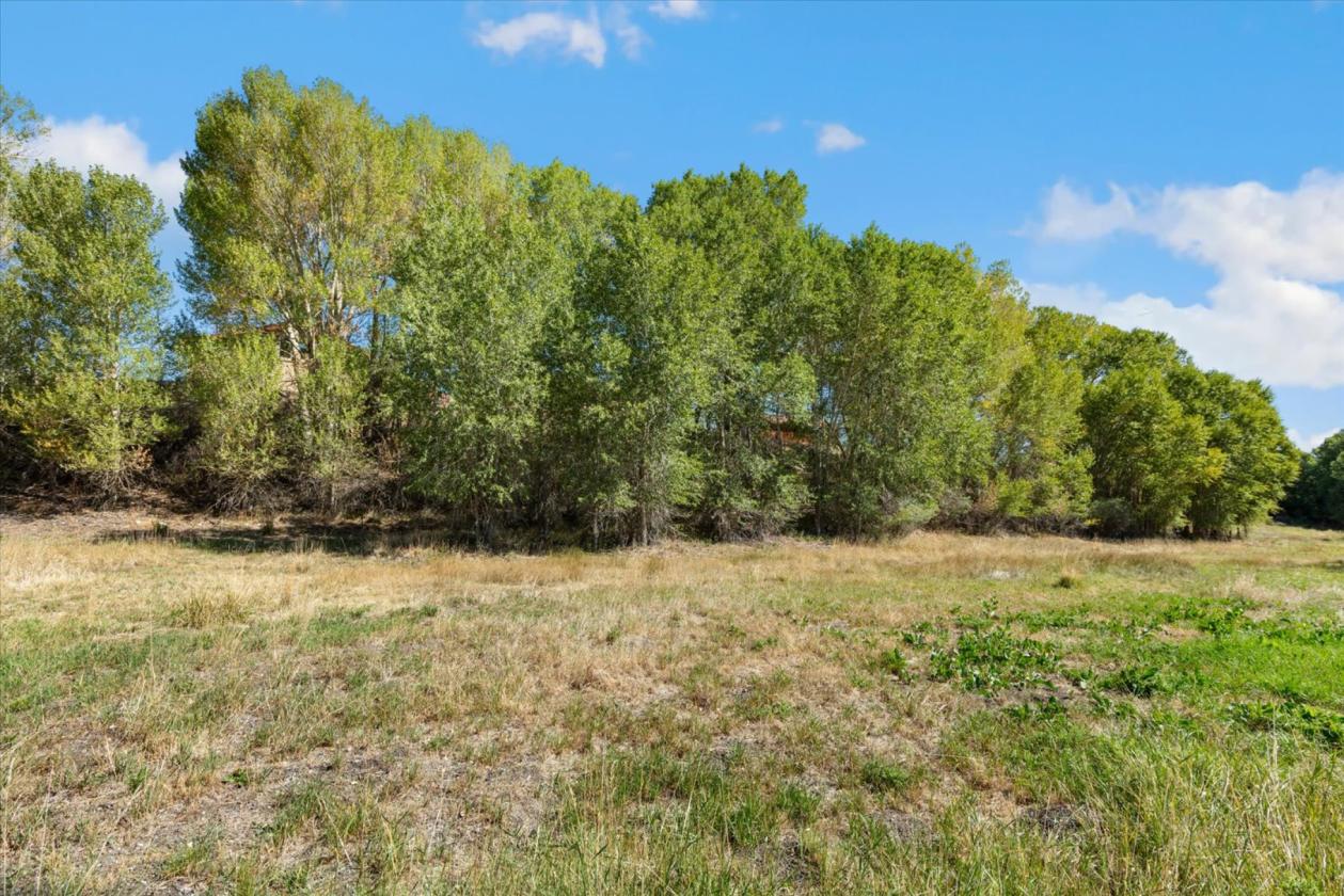5-acre horse property - photo 7
