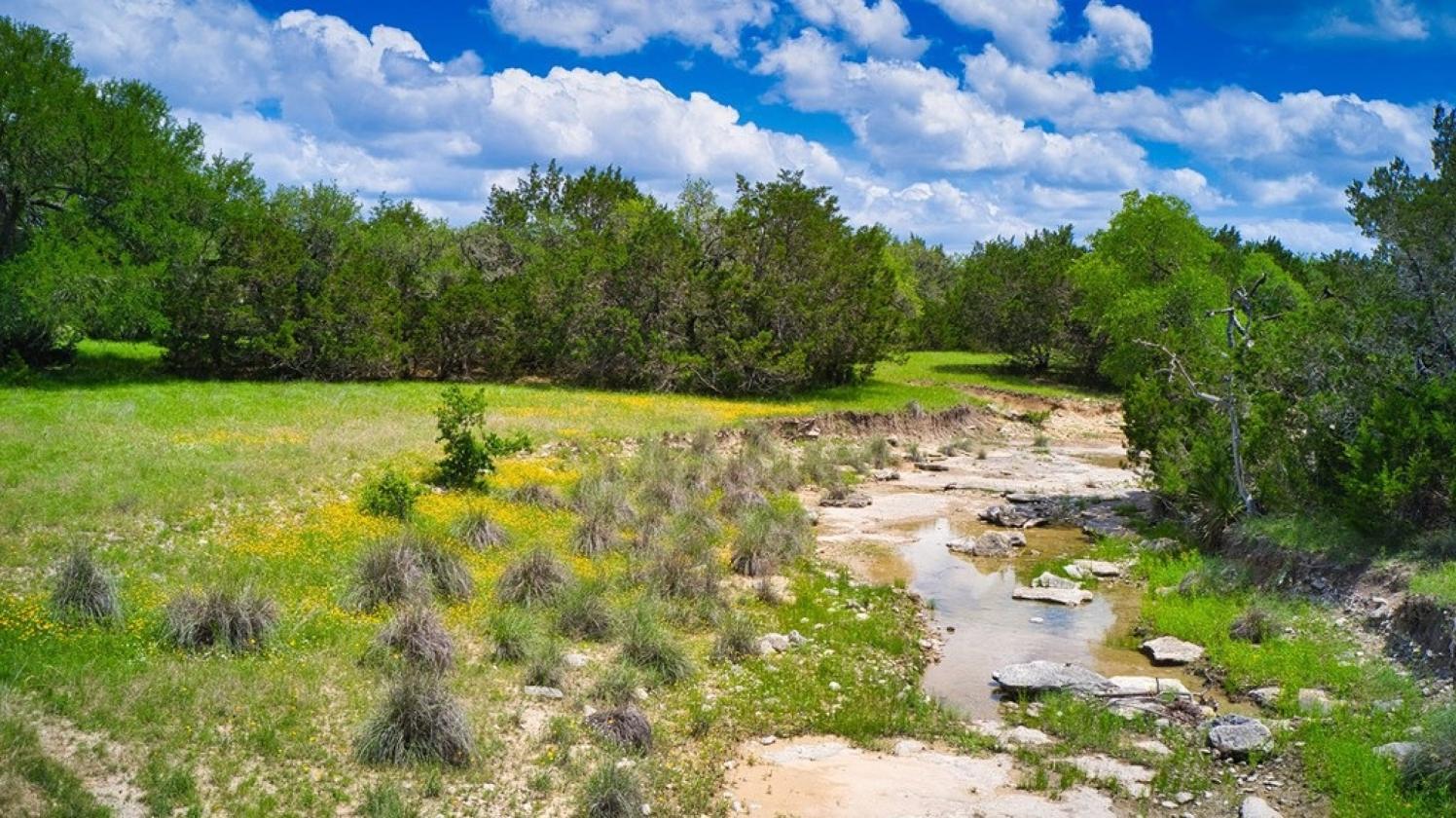 60.87 Hill Country Ranch 2.25% VA Assumable - photo 18