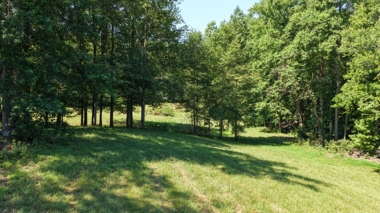 50 Acres with Massive 7-Stall Barn & Expan Potential - photo 7