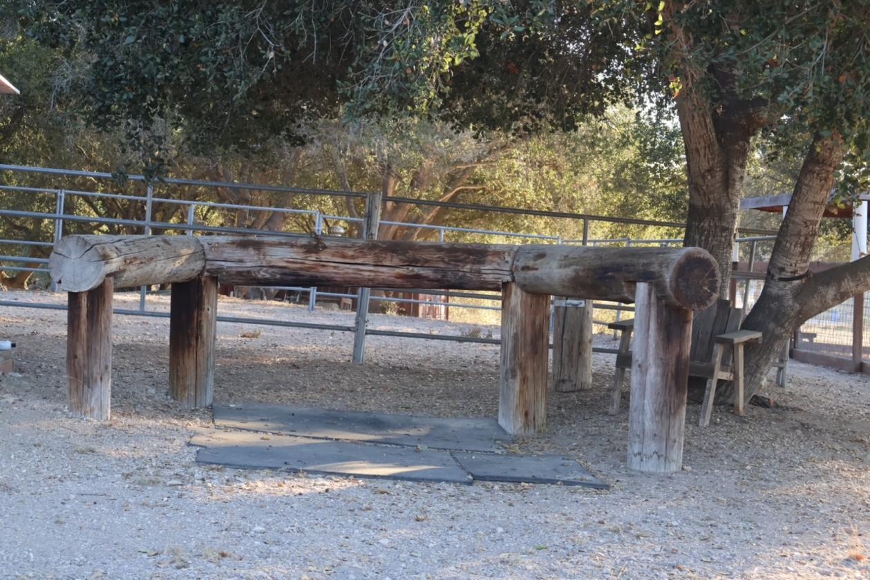 Hobby Horse Farm 15 minutes to the Beach - photo 25