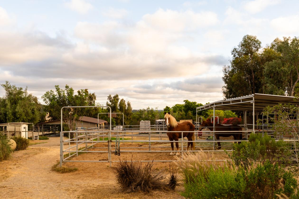 Rancho Santa Fe Lifestyle. County Freedom. No HOA. - photo 8