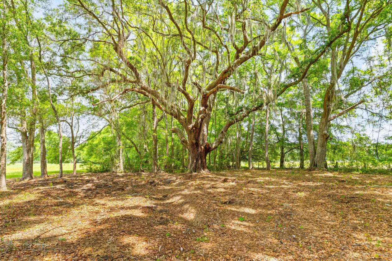 12.59 Waterfront Lowcountry Equestrian Retreat - photo 6