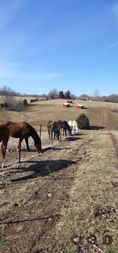 Investment opportunity/Equestrian Facility - photo 16