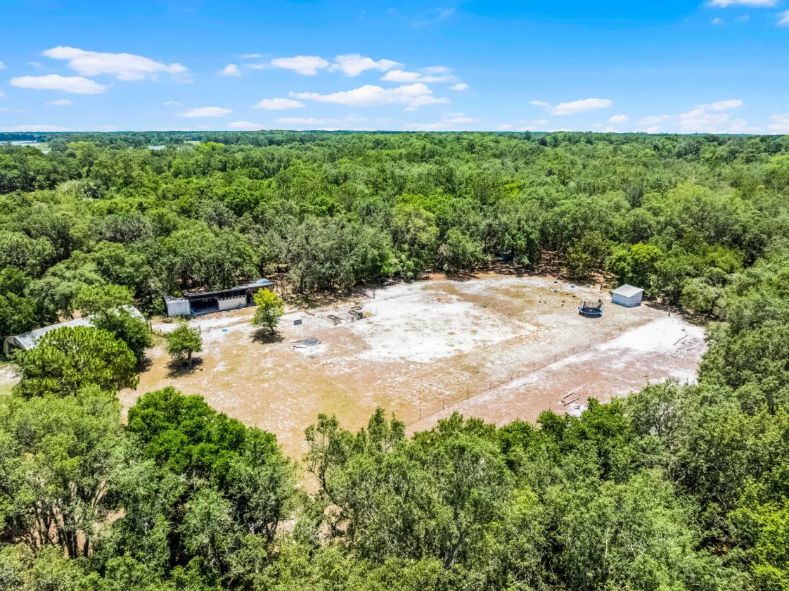 Private & Rare Wild Old Florida 36 Acre Gem - photo 12