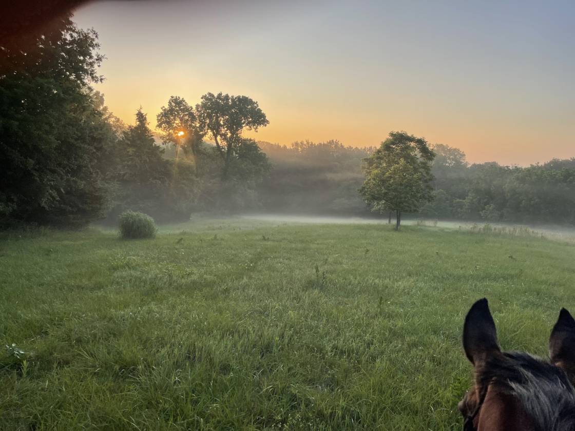 Horse Property for sale.