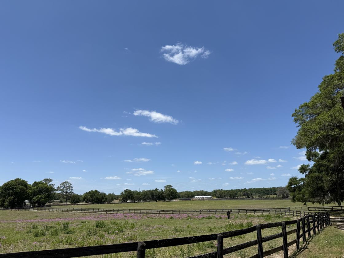 Tiffany Farm - 108 Acres - photo 27