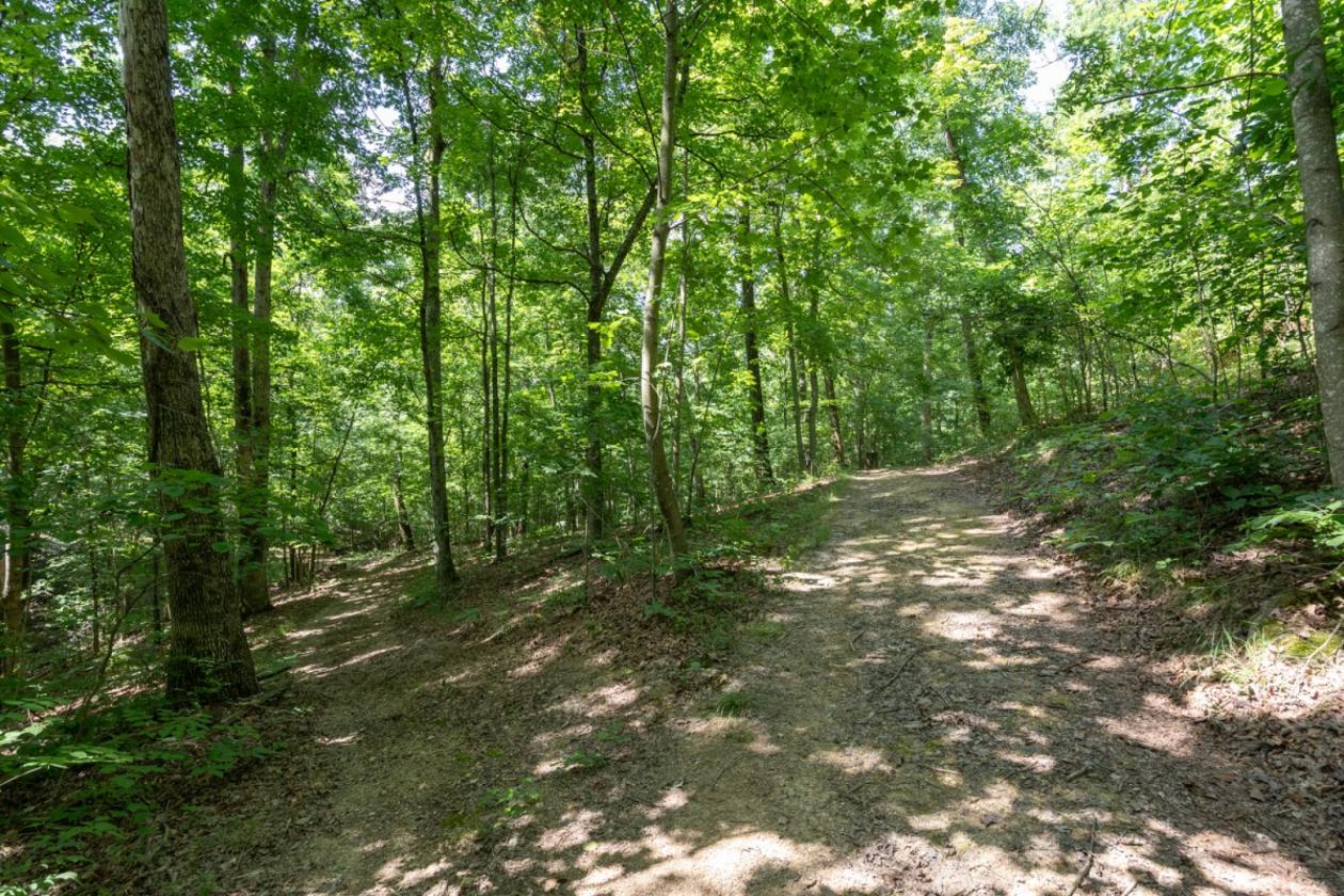 Never Done Farm - 103 Acres - photo 30