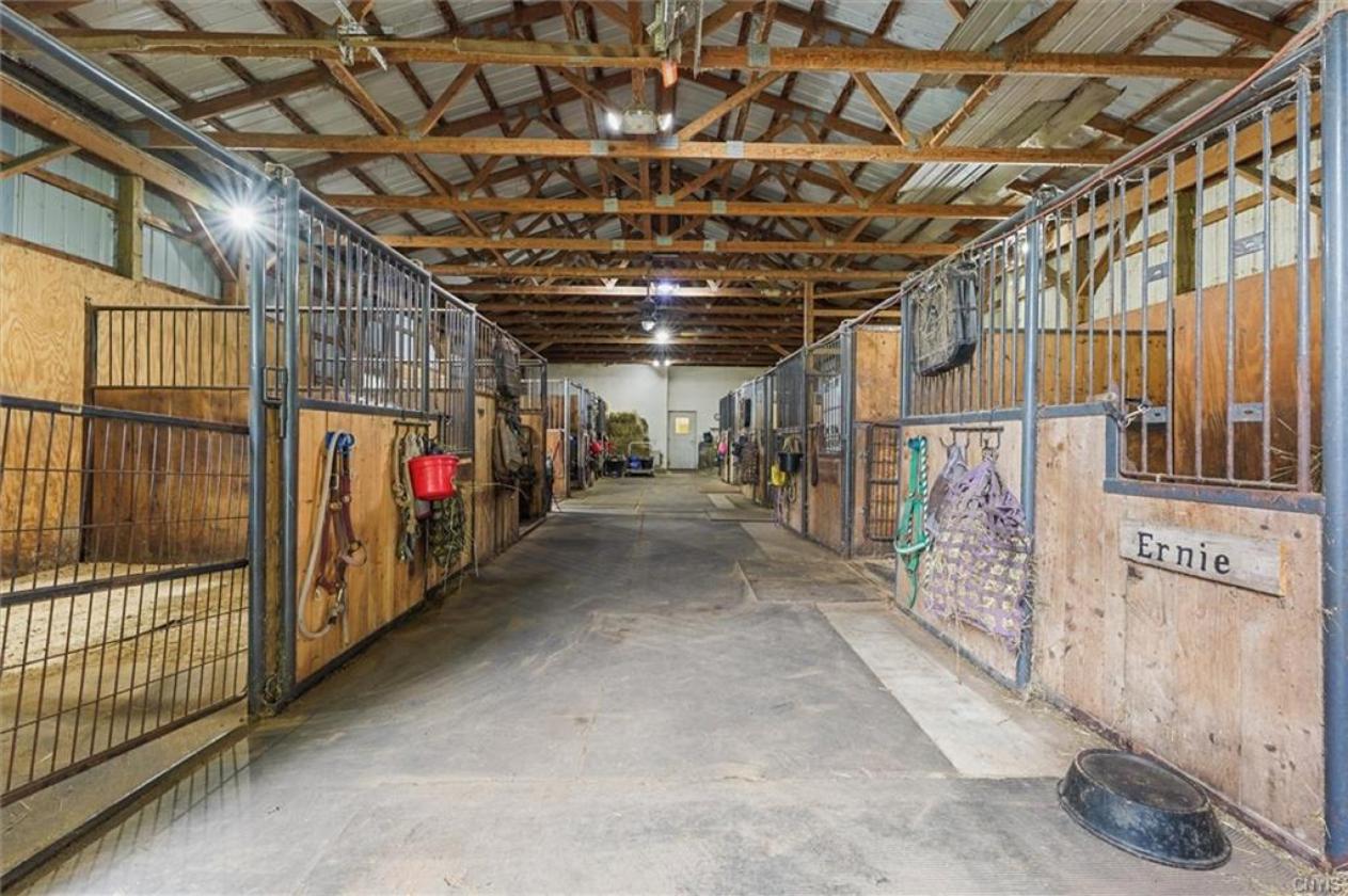 Extraordinary Seneca River Estate - photo 25