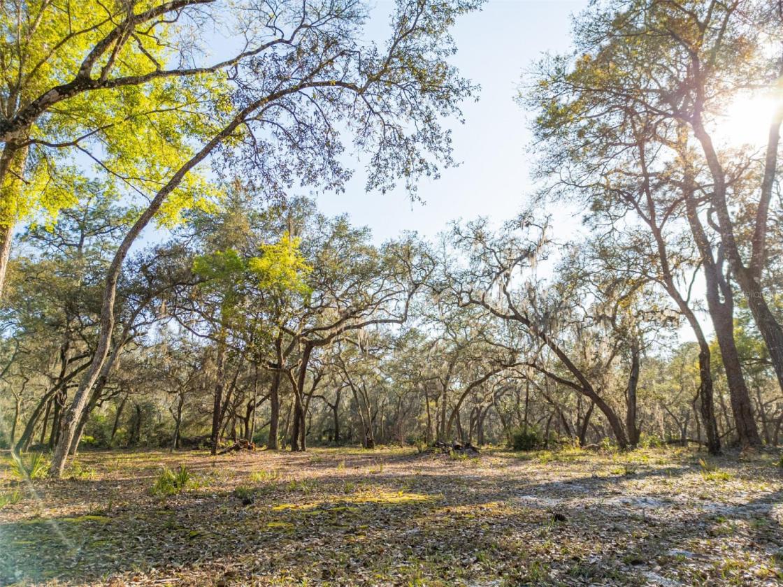 10 Acre Lakefront Estate w. 400k acre Trail Access - photo 14