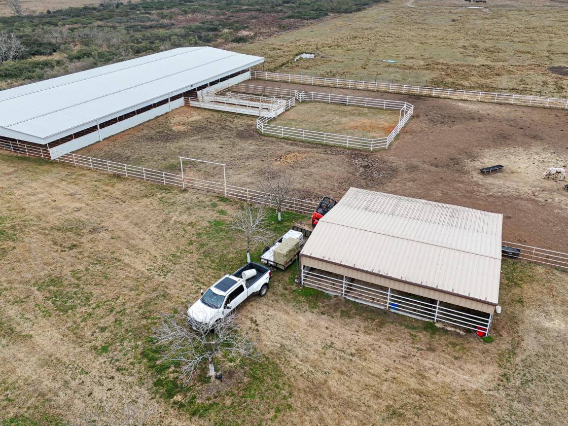 10 Acre Equestrian/Livestock Property - photo 14