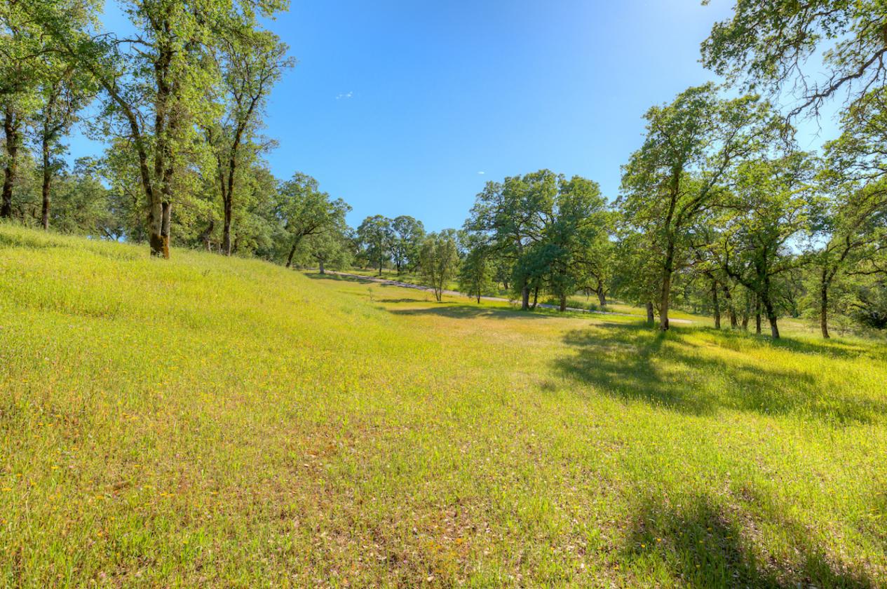 Oh, the POSSIBILITIES!! 5.31 Acres! - photo 24