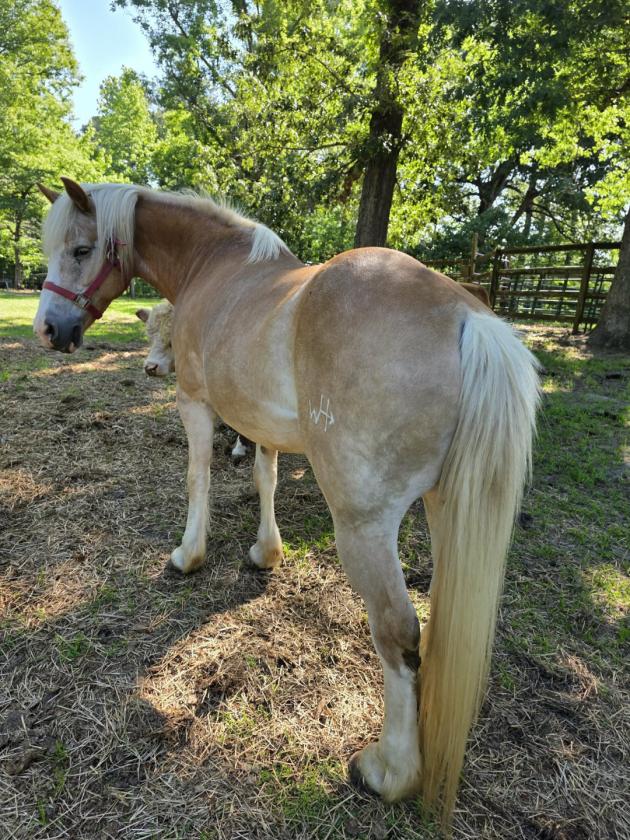 Gentleman's Country Farm - photo 4
