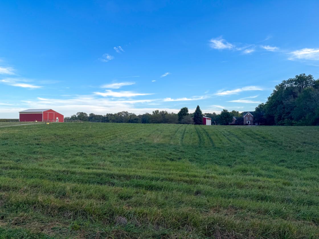Beautiful Horse property nestled on 20 acres - photo 23