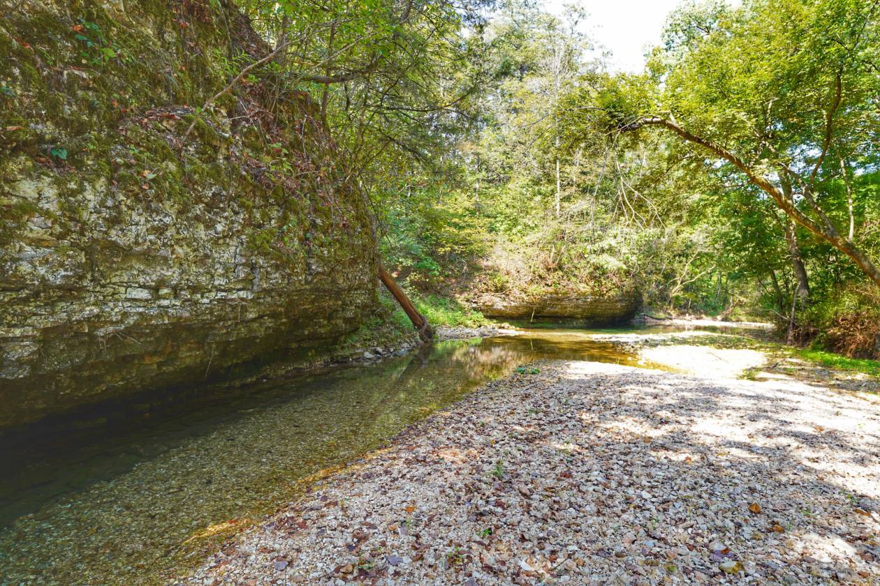 Legacy Northwest Arkansas Acreage - photo 27