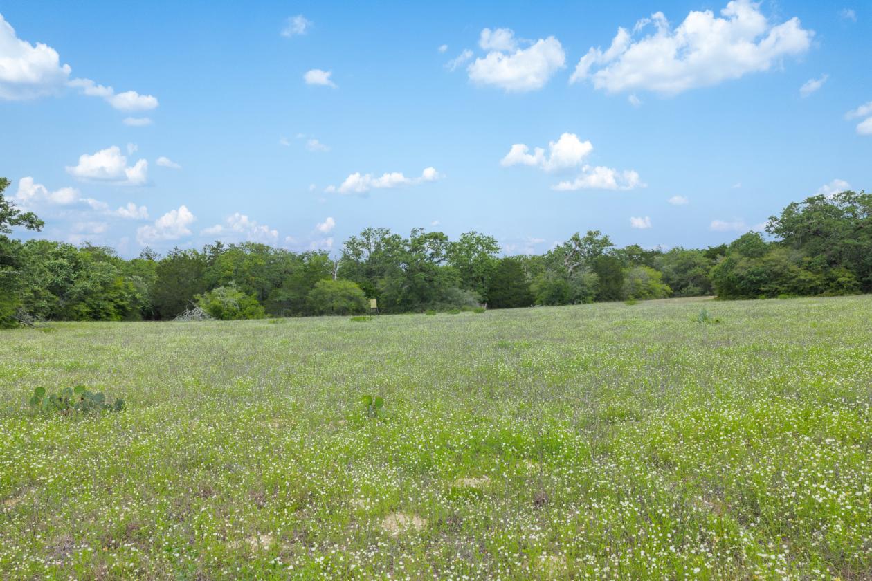 99 Unrestricted acres - photo 27