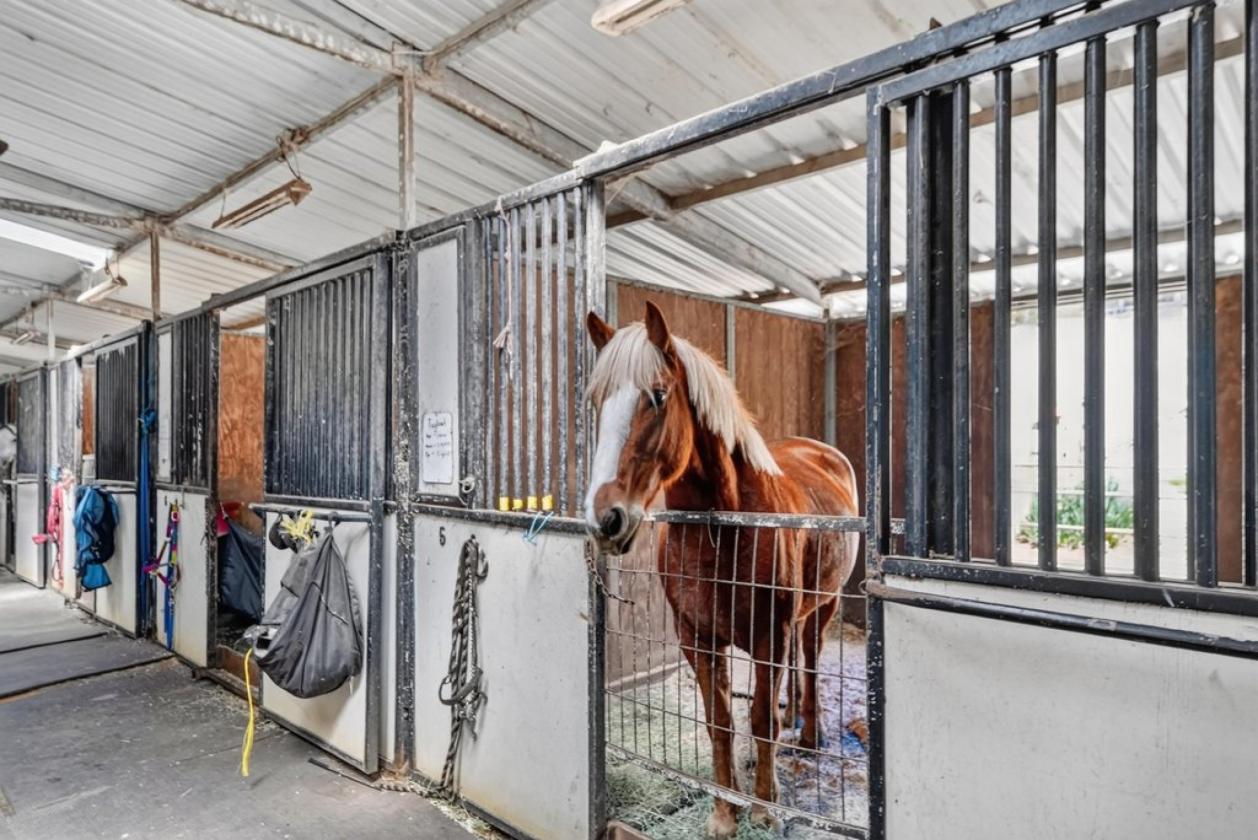 Legendary Willowpond Equestrian Estate - photo 10