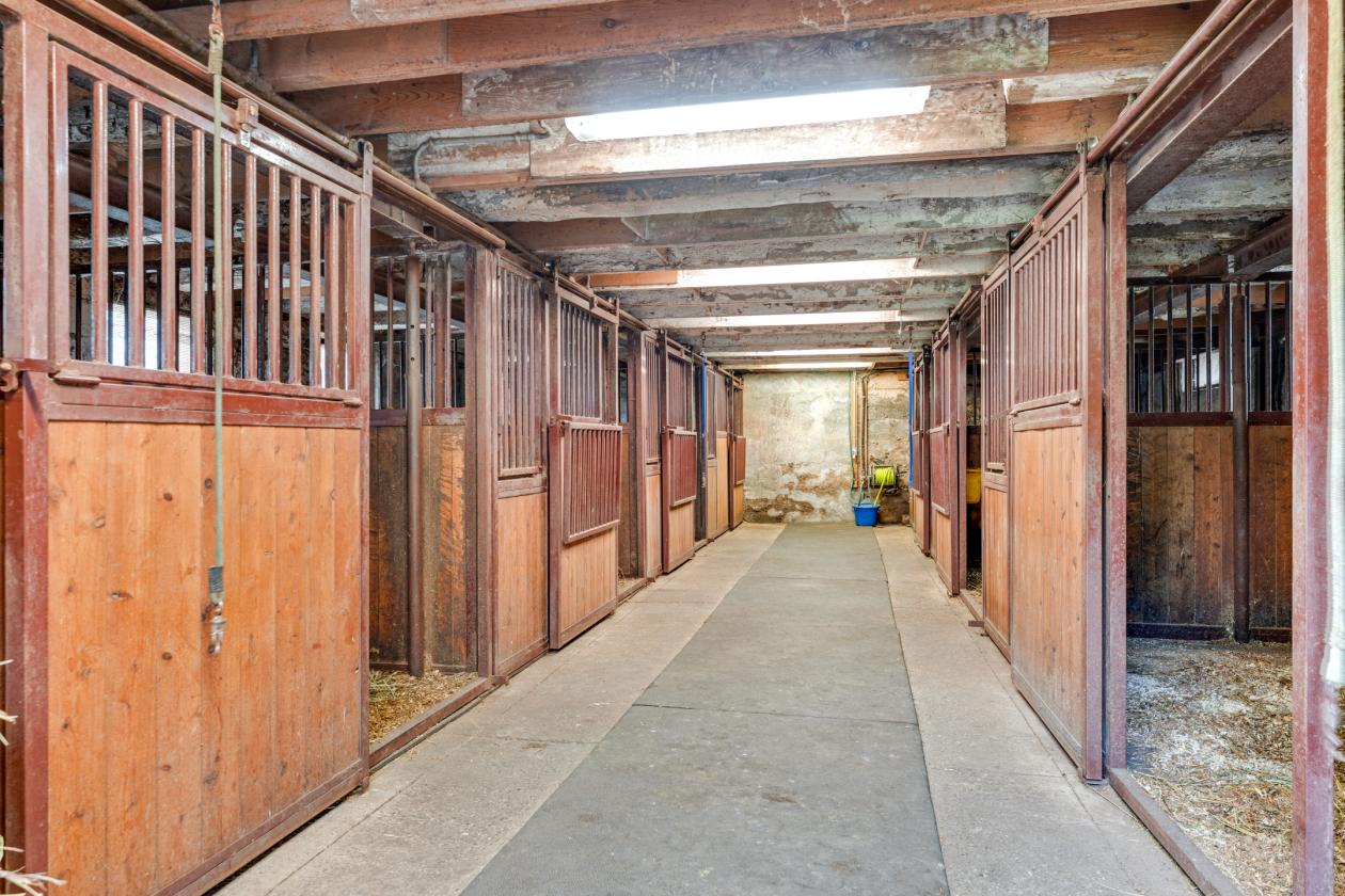 LUXURIOUS 195 ACRE EQUESTRIAN ESTATE - photo 4