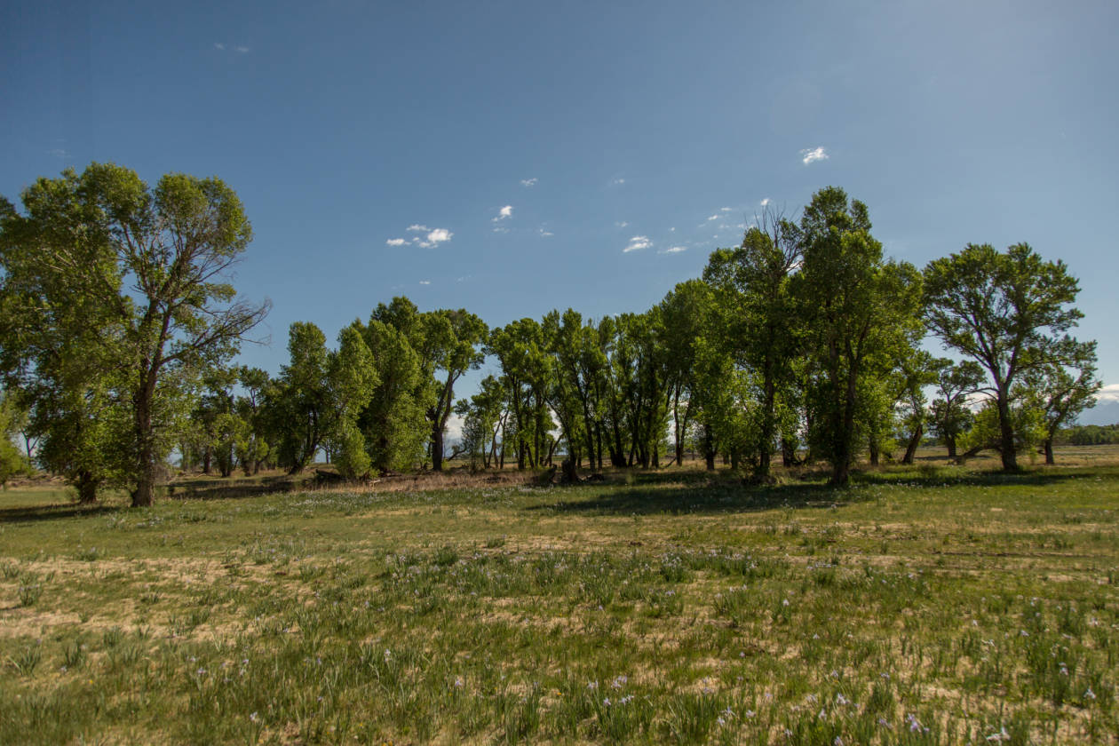 The Rio Grande River Ranch Alamosa, Alamosa County, Colorado