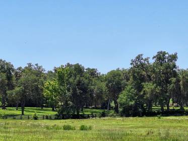 Property image.