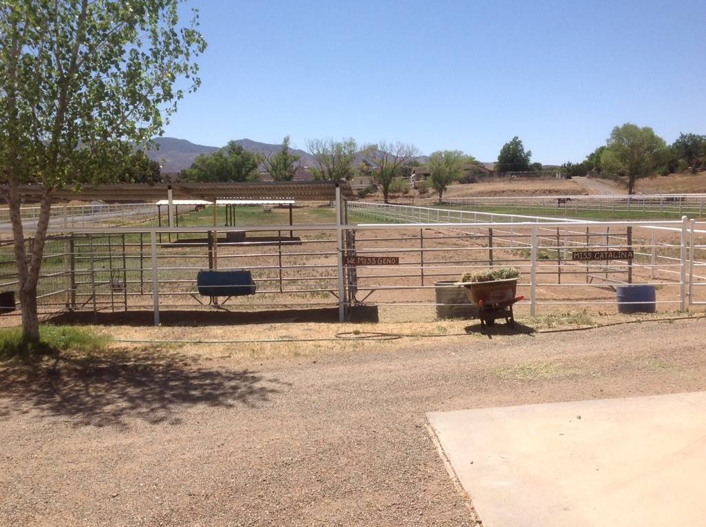 6 acres of horse property, 1800+ sf home, 7690 shed... DeweyHumboldt