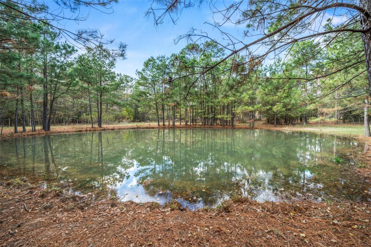 Beautiful country estate on over 4.75 acres - photo 29