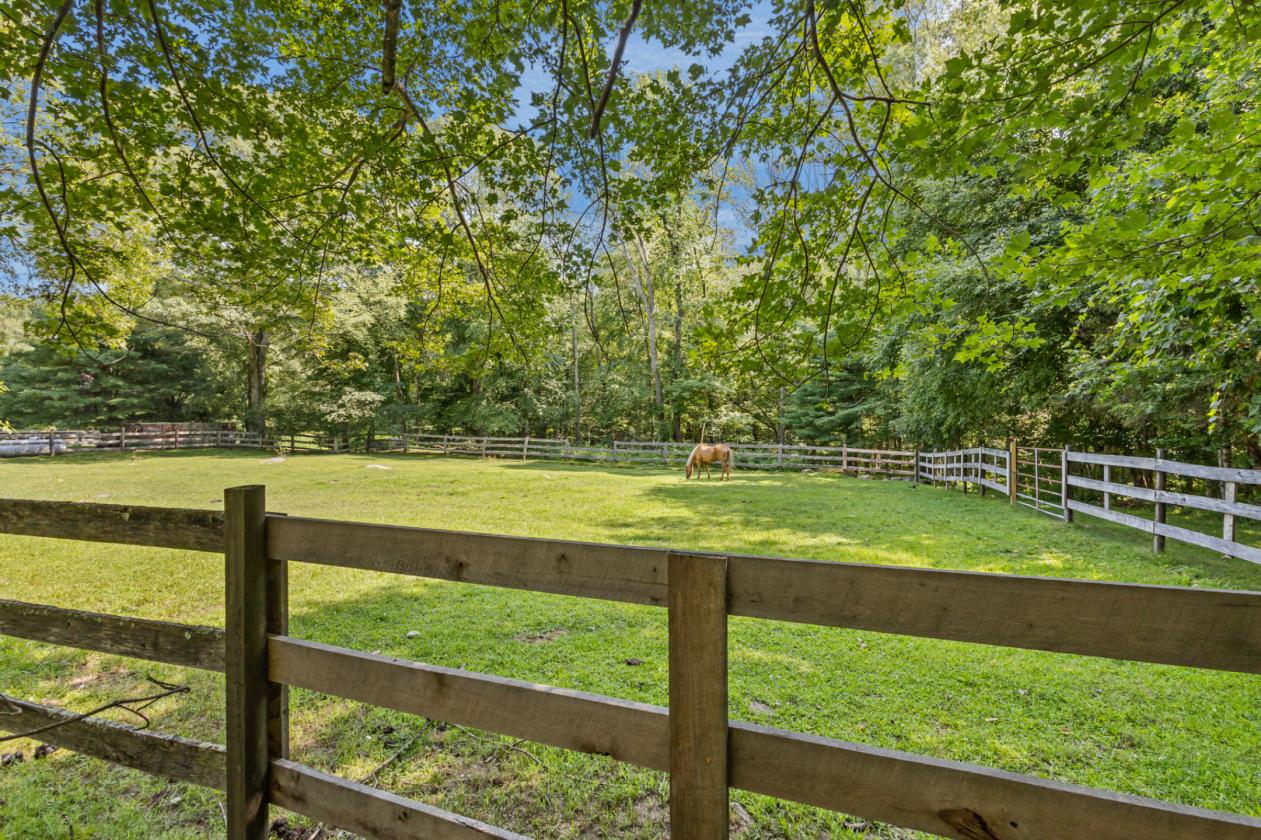 13.5-Acre Equestrian Farm with 12-Stall Barn - photo 17